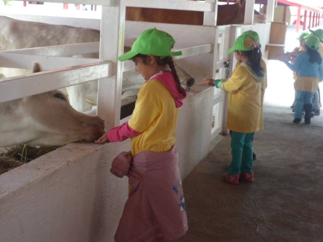 Visitas escolaternera